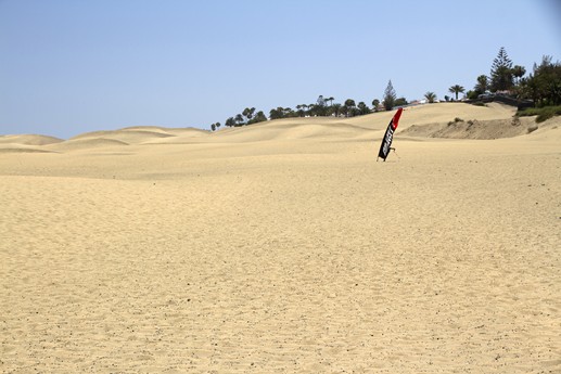 Canarie 2014